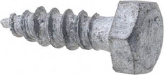 Value Collection - 1/4" Screw, 1" Length Under Head, Steel, Hex Head Lag Screw - Hot Dipped Galvanized, Grade 2 - Eagle Tool & Supply