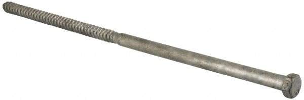Value Collection - 1/2" Screw, 14" Length Under Head, Steel, Hex Head Lag Screw - Hot Dipped Galvanized, Grade 2 - Eagle Tool & Supply