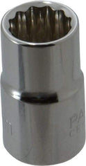 Paramount - 3/8" Drive, Standard Hand Socket - 12 Points, 1-3/16" OAL, Steel, Chrome Finish - Eagle Tool & Supply