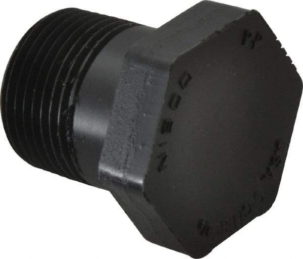 NIBCO - 3/4" Polypropylene Plastic Pipe Threaded Plug - Schedule 80, MPT End Connections - Eagle Tool & Supply