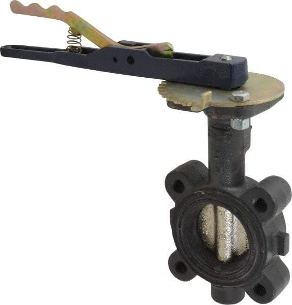 NIBCO - 2" Pipe, Lug Butterfly Valve - Lever Handle, Ductile Iron Body, EPDM Seat, 250 WOG, Ductile Iron Disc, Stainless Steel Stem - Eagle Tool & Supply
