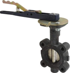 NIBCO - 2" Pipe, Lug Butterfly Valve - Lever Handle, Ductile Iron Body, EPDM Seat, 250 WOG, Ductile Iron Disc, Stainless Steel Stem - Eagle Tool & Supply