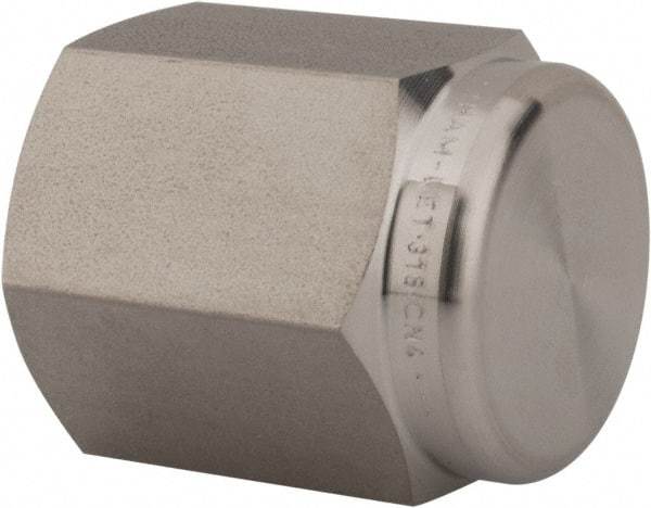 Ham-Let - 1/4" Grade 316 Stainless Steel Pipe End Cap - FNPT End Connections, 6,200 psi - Eagle Tool & Supply