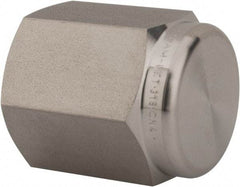 Ham-Let - 1/4" Grade 316 Stainless Steel Pipe End Cap - FNPT End Connections, 6,200 psi - Eagle Tool & Supply
