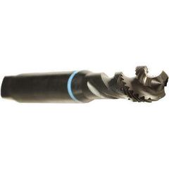 Emuge - M3x0.50 Metric 3 Flute 6H Modified Bottoming Spiral Flute Tap - Cobalt, Oxide Finish, 56mm OAL, Right Hand Flute, Right Hand Thread, Series Enorm - Eagle Tool & Supply