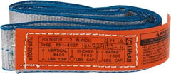 Lift-All - 4' Long x 2" Wide, 6,400 Lb Vertical Capacity, 1 Ply, Polyester Web Sling - 5,000 Lb Choker Capacity - Eagle Tool & Supply