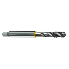 ‎M2.5 × 0.45 3FL 6H Cobalt Spiral Flute Semi-Bott Ylw Ring Tap-Bright-40 Degree Helix - Eagle Tool & Supply
