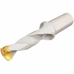 Iscar - 19 to 19.9mm Diam, 3xD, 57mm Max Depth, 25mm Shank Diam, 140.8mm OAL, Replaceable Tip Drill - IDK, IDM, IDN, IDP Insert, 19 Seat Size, DSM Toolholder, Series ChamDrillJet - Eagle Tool & Supply