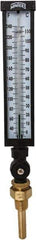 Winters - 30 to 240°F, Industrial Thermometer with Standard Thermowell - 3 Inch Immersion Length, 3-1/2 Inch Stem Length, 17 Inch Long, 3/4 Inch Thread - Eagle Tool & Supply