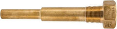 Winters - 6-3/4 Inch Overall Length, 3/4 Inch Thread, Brass Thermowell - 5 Inch Insertion Length - Eagle Tool & Supply