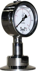 Winters - 2-1/2" Dial, 2 Thread, 0-60 Scale Range, Pressure Gauge - Lower Connection Mount, Accurate to 1.5% of Scale - Eagle Tool & Supply