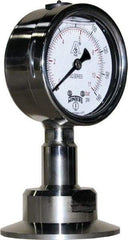 Winters - 2-1/2" Dial, 2 Thread, 0-160 Scale Range, Pressure Gauge - Lower Connection Mount, Accurate to 1.5% of Scale - Eagle Tool & Supply
