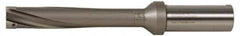 Kennametal - Series KSEM Plus, Head Connection FDS32, 5xD, 38.1mm Shank Diam, Drill Body - SSF Toolholder, 311.25mm OAL, 8.5" Drill Body Length, 6.1" Flute Length, Whistle Notch Shank, Through Coolant - Eagle Tool & Supply
