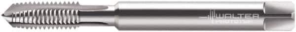 Walter-Prototyp - #6-40 UNF, 3 Flute, Bright Finish, Powdered Metal Spiral Point Tap - Plug Chamfer, Right Hand Thread, 56mm OAL, 12mm Thread Length, 4mm Shank Diam, 3B Class of Fit, Series 23207 - Exact Industrial Supply