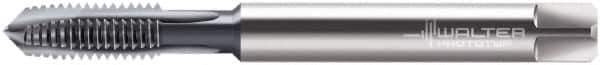 Walter-Prototyp - M6x1.00 Metric, 3 Flute, TiCN Finish, Powdered Metal Spiral Point Tap - Plug Chamfer, Right Hand Thread, 80mm OAL, 15mm Thread Length, 6mm Shank Diam, 6HX Class of Fit, Series 2021616 - Exact Industrial Supply