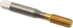 Balax - 3/8-24 UNF 2B H8 Thread Limit Bottoming Thread Forming Tap - Powdered Metal High Speed Steel, TiN Finish, 2-15/16" OAL, 0.95" Thread Length, Right Hand Thread, Series BXSTAINLESS - Eagle Tool & Supply