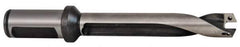 Allied Machine and Engineering - Series 12, 12 to 12.99mm Diam, 3/4" Diam Straight Shank with Flange, Straight Flute Spade Drill - 3-19/32" Max Depth, 4-25/32" Body Length, 6-45/64" OAL, Standard Length, Through Coolant - Eagle Tool & Supply