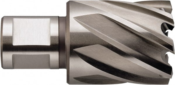 Fein - 3/4" Diam x 1" Deep High Speed Steel Annular Cutter - Eagle Tool & Supply