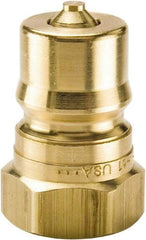 Parker - 3/4 NPTF Brass Hydraulic Hose Female Pipe Thread Nipple - 1,000 psi, 28 GPM - Eagle Tool & Supply