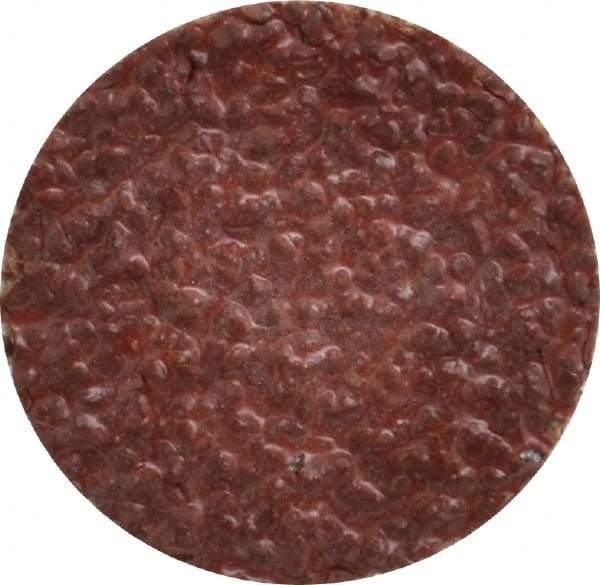 Tru-Maxx - 1" Disc Diam, 24 Grit, Aluminum Oxide Quick Change Disc - Type S Attaching System, Coated, Brown, Very Coarse Grade, 30,000 RPM - Eagle Tool & Supply