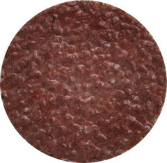 Tru-Maxx - 1" Disc Diam, 24 Grit, Aluminum Oxide Quick Change Disc - Type S Attaching System, Coated, Brown, Very Coarse Grade, 30,000 RPM - Eagle Tool & Supply