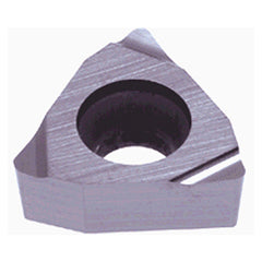 WBGT 521 L-W11 NS9530 - Eagle Tool & Supply