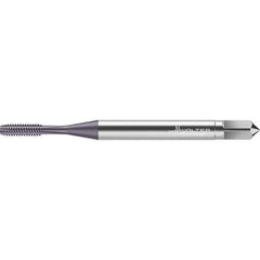 Walter-Prototyp - Straight Flute Taps Tap Type: Machine Tap Thread Size (Inch): #2-56 - Exact Industrial Supply