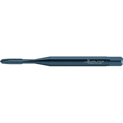 Walter-Prototyp - #0-80 UNF 2 Flute 2B Plug Spiral Point Tap - High Speed Steel, Oxide Finish, Right Hand Thread, Series TC217 - Exact Industrial Supply