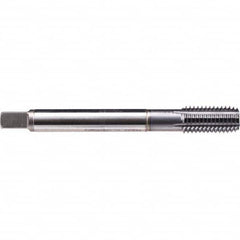 Emuge - Thread Forming STI Taps Thread Size (Inch): 1/4-20 Class of Fit: 2B - Eagle Tool & Supply