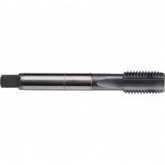 Emuge - M10x1.00 Metric Fine 6H 0 Flute TiCN Finish Cobalt Machine Tap - Eagle Tool & Supply