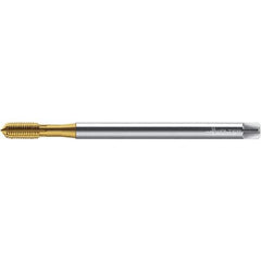 Walter-Prototyp - M5x0.80 ~DIN 371 XL 6HX 4.660 Thread Limit Semi-Bottoming Thread Forming Tap - Powdered Metal High Speed Steel, TiN Finish, 142.35mm OAL, 8mm Thread Length, Right Hand Thread, Series TC420 - Exact Industrial Supply
