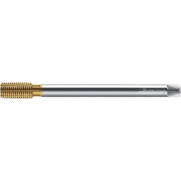 Walter-Prototyp - M12x1.75 ~DIN 376 XL 6HX 11.260 Thread Limit Semi-Bottoming Thread Forming Tap - Powdered Metal High Speed Steel, TiN Finish, 220mm OAL, 16mm Thread Length, Right Hand Thread, Series TC420 - Eagle Tool & Supply