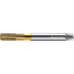 Walter-Prototyp - M10x1.50 DIN 2174 6HX 9.380 Thread Limit Semi-Bottoming Thread Forming Tap - Powdered Metal High Speed Steel, TiN Finish, 100mm OAL, 15mm Thread Length, Right Hand Thread, Series TC430 - Eagle Tool & Supply