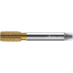 Walter-Prototyp - M14x1.25 DIN 2174 6HX 13.490 Thread Limit Semi-Bottoming Thread Forming Tap - Powdered Metal High Speed Steel, TiN Finish, 100mm OAL, 15mm Thread Length, Right Hand Thread, Series TC420 - Eagle Tool & Supply