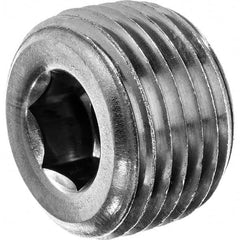 Pipe Hex Socket Plug: 1/16″ Fitting, 316 Stainless Steel MNPT, Threaded, ASME B1.20.1 & ASTM A351, 150 psi