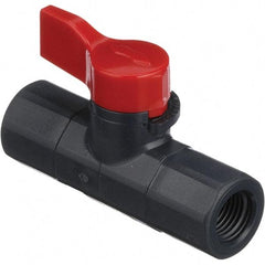 Asahi/America - 1/4" Pipe, Full Port, PVC Ball Valve - 1 Piece, FNPT x FNPT Ends, Tee Handle, 150 WOG - Eagle Tool & Supply