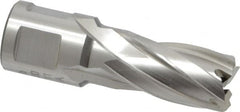 Hougen - 5/8" Diam x 1" Deep High Speed Steel Annular Cutter - Eagle Tool & Supply