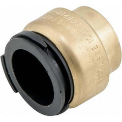 Watts - Metal Push-To-Connect Tube Fittings Type: End Stop Tube Outside Diameter (Inch): 0.75 - Eagle Tool & Supply