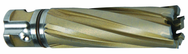 13/16 X 1 CARBIDE CUTTER - Eagle Tool & Supply