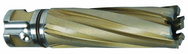 25MM X 50MM CARBIDE CUTTER - Eagle Tool & Supply