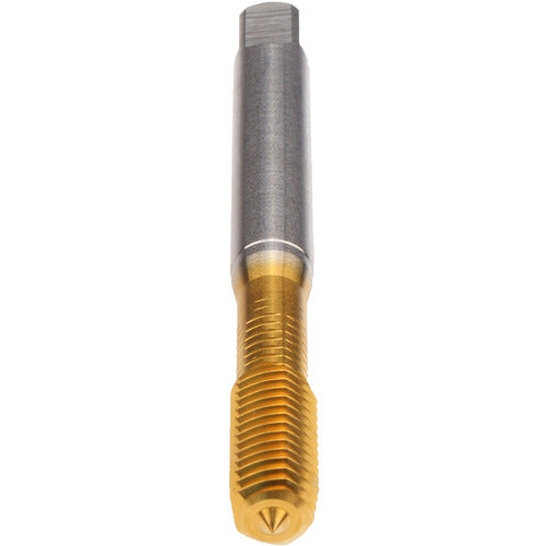 ‎LK 6-32 SELF-LOCK/RL FORM - Exact Industrial Supply
