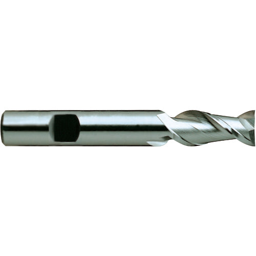 10 × 10 × 45 × 100 mm 2 Flute Square End Carbide End Mill-Plain Shank - Exact Industrial Supply