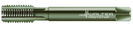 E24364 - G1/8 PARADUR ECO-CI - Eagle Tool & Supply