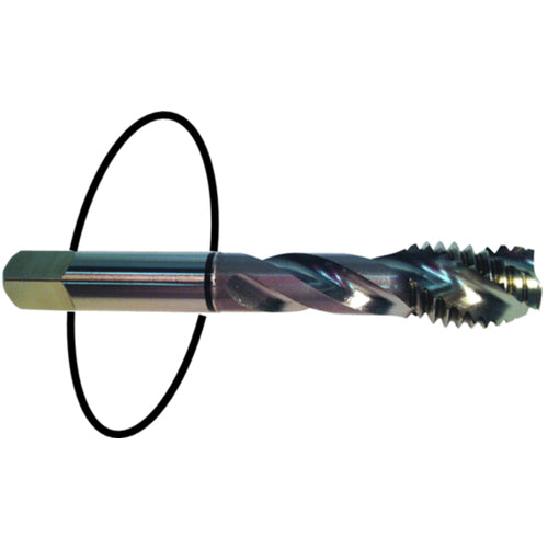 ‎8-32 Dia-H3-2 FL-Std Spiral Point Tap - Black Ring - Eagle Tool & Supply