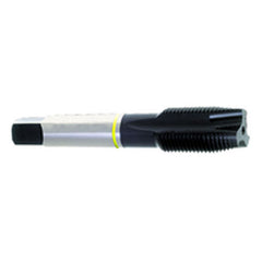 ‎10-32 Dia-H3-2 FL-Std Spiral Point Tap-Yellow Ring - Eagle Tool & Supply