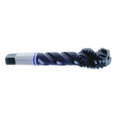 ‎M3 x .50 Dia-D3-2 FL-Std Spiral FL Tap-Blue Ring - Eagle Tool & Supply