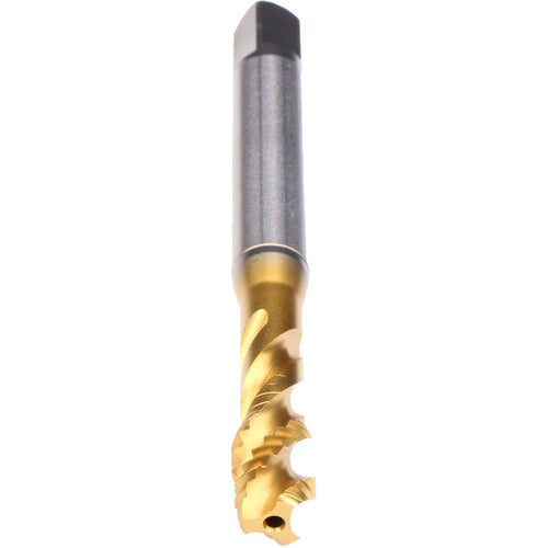 M5-TAP-ENORM Z-SPD-CLNT
