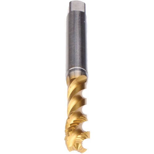 M4-TAP-ENORM ZSPEED-TIN60 - Exact Industrial Supply
