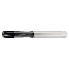 GT225020 M8X1.25 6HX FT SBOT 2174 - Exact Industrial Supply