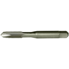 ‎#3-48NC SPGP H2 2FL GP